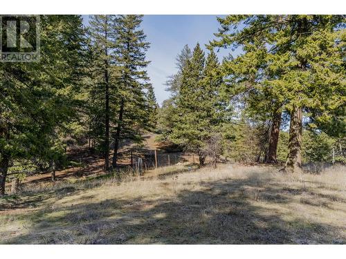 2431 Fairview Road, Oliver, BC - Outdoor With View