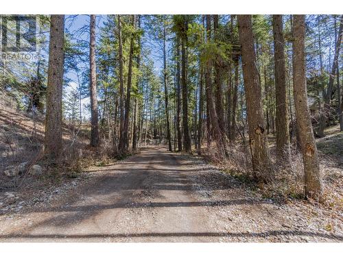 2431 Fairview Road, Oliver, BC - Outdoor With View