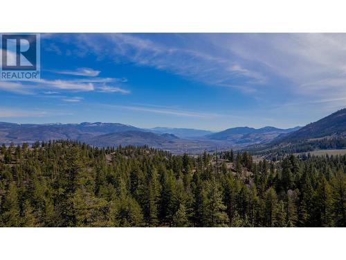 2431 Fairview Road, Oliver, BC - Outdoor With View