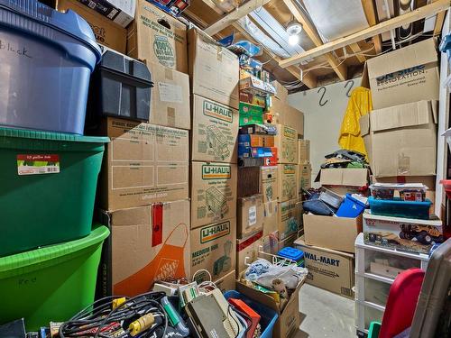 154 Aspen Cres, Logan Lake, BC - Indoor Photo Showing Basement