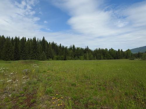 1420 Trinity Valley Road, Lumby, BC - Outdoor With View