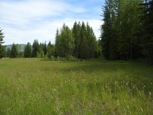 1420 Trinity Valley Road, Lumby, BC - Outdoor With View