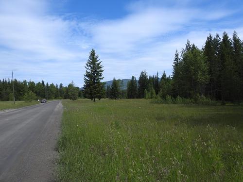 1420 Trinity Valley Road, Lumby, BC - Outdoor With View