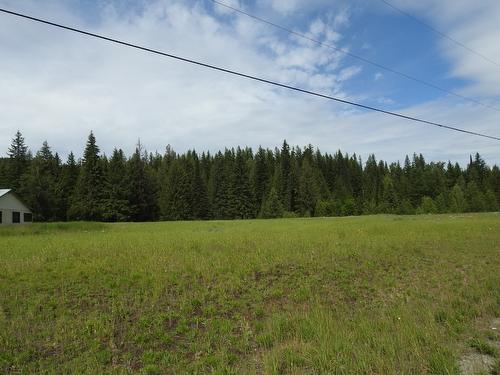 1420 Trinity Valley Road, Lumby, BC - Outdoor