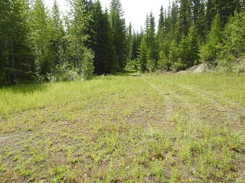 1420 Trinity Valley Road, Lumby, BC - Outdoor With View