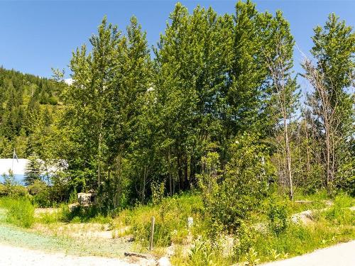 516 Thomsen Place, Sicamous, BC 