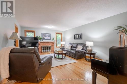 596 Rosecliffe Terrace, London, ON - Indoor Photo Showing Living Room With Fireplace