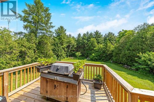 8511 Guelph Line, Milton, ON - Outdoor With Deck Patio Veranda