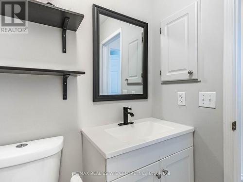 14 Standish Street, Halton Hills, ON - Indoor Photo Showing Bathroom