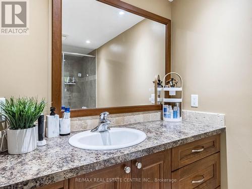 14 Standish Street, Halton Hills, ON - Indoor Photo Showing Bathroom