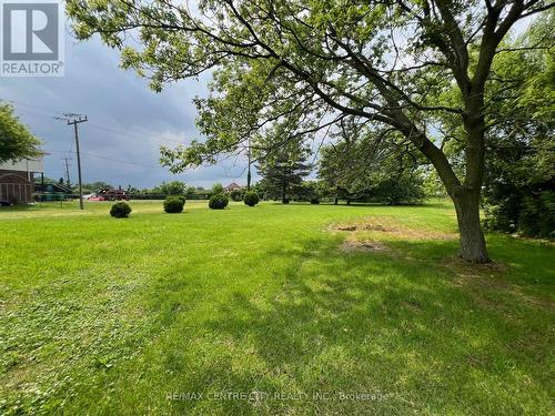 REAR YARD - DOUBLE LOT - 3670 Concession Drive, Southwest Middlesex, ON - Outdoor With View