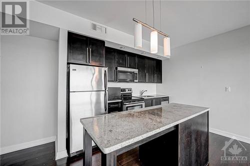 238 Besserer Street Unit#1001, Ottawa, ON - Indoor Photo Showing Kitchen With Stainless Steel Kitchen