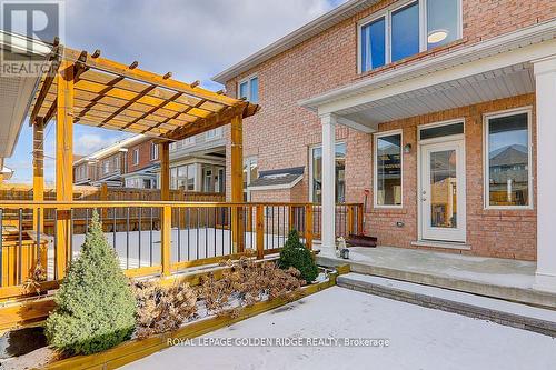 224 The Meadows Avenue, Markham, ON - Outdoor