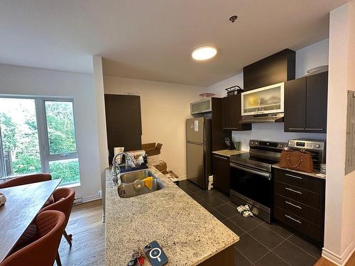 Kitchen - 313-1780 Rue Notre-Dame-De-Fatima, Laval (Duvernay), QC - Indoor Photo Showing Kitchen With Double Sink