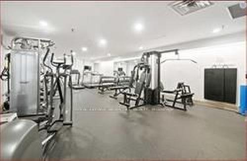 303-55 Skymark Dr, Toronto, ON - Indoor Photo Showing Gym Room