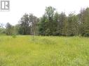 620420 Robson Road, Chatsworth (Twp), ON 