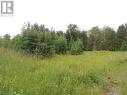 620420 Robson Road, Chatsworth (Twp), ON 