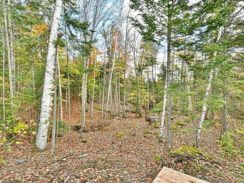 ExtÃ©rieur - 54  - 56 Ch. D'Entrelacs, Sainte-Marguerite-Du-Lac-Masson, QC - Outdoor