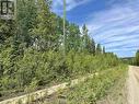 Lot 8 Clearview Drive, Fraser Lake, BC 