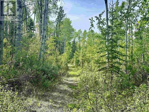 Lot 8 Clearview Drive, Fraser Lake, BC 