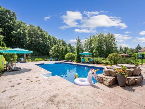 10 Forest Ridge Cres, Halton Hills, ON - Outdoor With In Ground Pool With Backyard