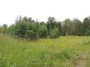 620420 Robson Rd, Chatsworth, ON 