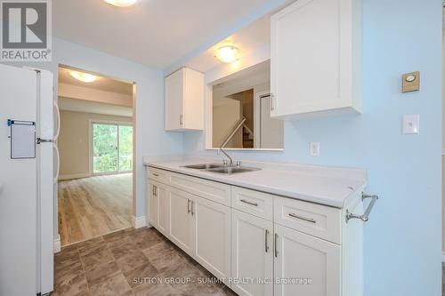 24 Danville Avenue, Halton Hills, ON - Indoor Photo Showing Kitchen With Double Sink