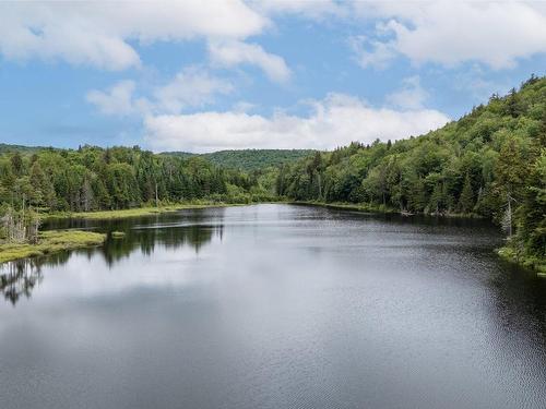 Vue sur l'eau - Ch. Du Lac-Thurson, Wentworth-Nord, QC 