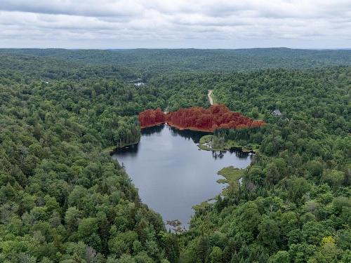 Vue d'ensemble - Ch. Du Lac-Thurson, Wentworth-Nord, QC 