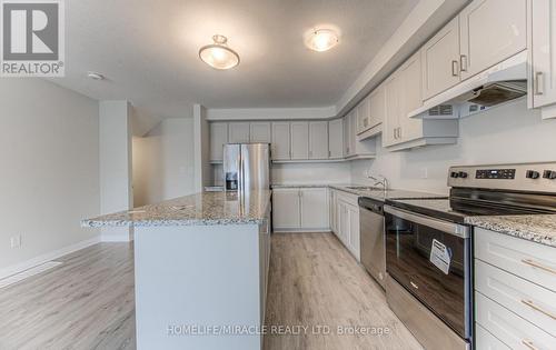 17 Valencia Drive E, Kitchener, ON - Indoor Photo Showing Kitchen With Upgraded Kitchen