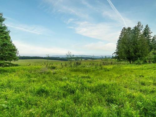 Land/Lot - 3150 Ch. Bartlett, Cookshire-Eaton, QC - Outdoor With View