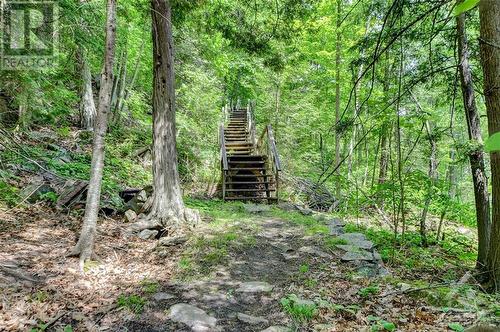 Sturdy staircase access to the waterfront - 2589 Calabogie Road, Calabogie, ON - Outdoor