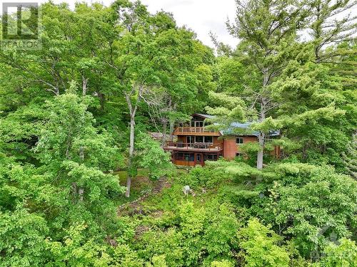 A true hidden gem - 2589 Calabogie Road, Calabogie, ON - Outdoor