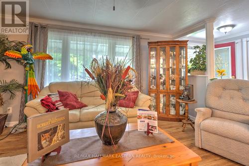 57 Circle Drive, Kawartha Lakes, ON - Indoor Photo Showing Living Room