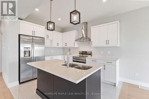 3869 Auckland Avenue, London, ON - Indoor Photo Showing Kitchen With Double Sink With Upgraded Kitchen