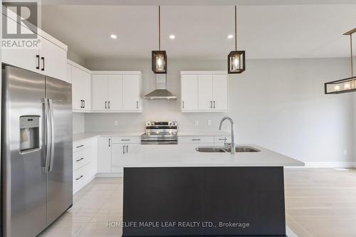 3869 Auckland Avenue, London, ON - Indoor Photo Showing Kitchen With Double Sink With Upgraded Kitchen