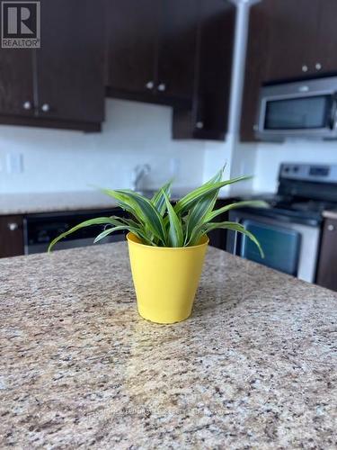 #1101 - 38 The Esplanade, Toronto, ON - Indoor Photo Showing Kitchen