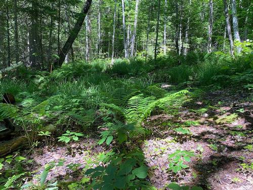 Other - Mtée Des Bois-Ronds, Chertsey, QC 