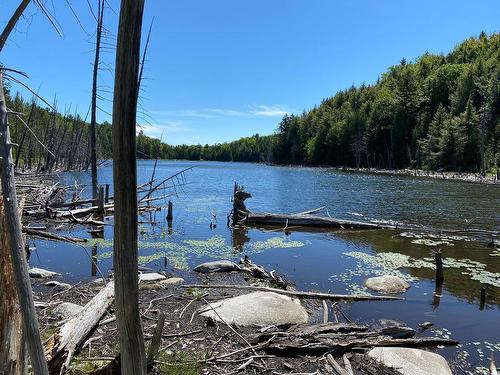 Other - Mtée Des Bois-Ronds, Chertsey, QC 