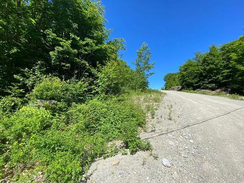 Land/Lot - Mtée Des Bois-Ronds, Chertsey, QC 