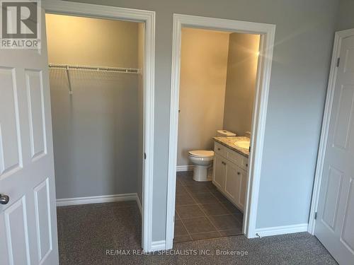 122 Oat Lane, Kitchener, ON - Indoor Photo Showing Bathroom