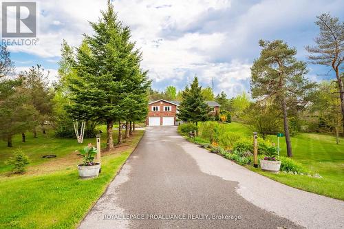 3 Slalom Drive, Kawartha Lakes, ON - Outdoor