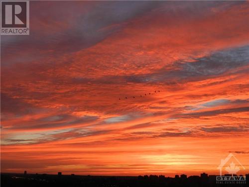 Taken from balcony - 1510 Riverside Drive Unit#2701, Ottawa, ON - Outdoor With View