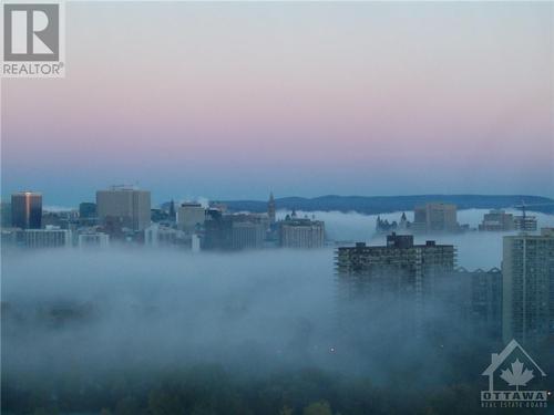 Taken from living room - 1510 Riverside Drive Unit#2701, Ottawa, ON - Outdoor With View