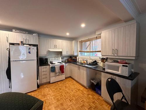 Cuisine - 1045  - 10563B Av. Du Collège, Laval (Saint-Vincent-De-Paul), QC - Indoor Photo Showing Kitchen