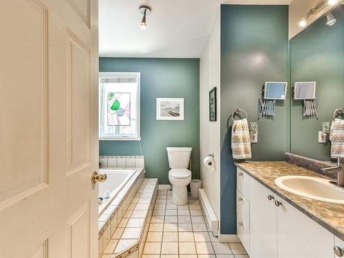 Bathroom - 50 Rue Achille, Saint-Sauveur, QC - Indoor Photo Showing Bathroom