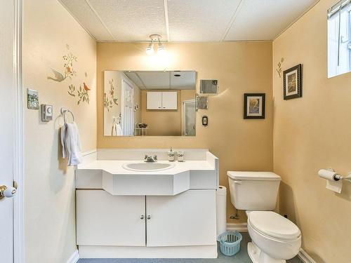 Salle de bains - 50 Rue Achille, Saint-Sauveur, QC - Indoor Photo Showing Bathroom