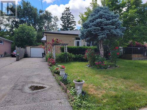 230 Axminster Drive, Richmond Hill (Crosby), ON - Outdoor