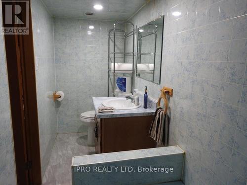 479 Pinetree Crescent, Cambridge, ON - Indoor Photo Showing Bathroom
