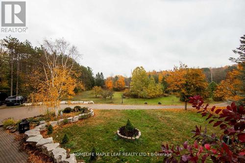 428239 25 Side Road, Mono, ON - Outdoor With View